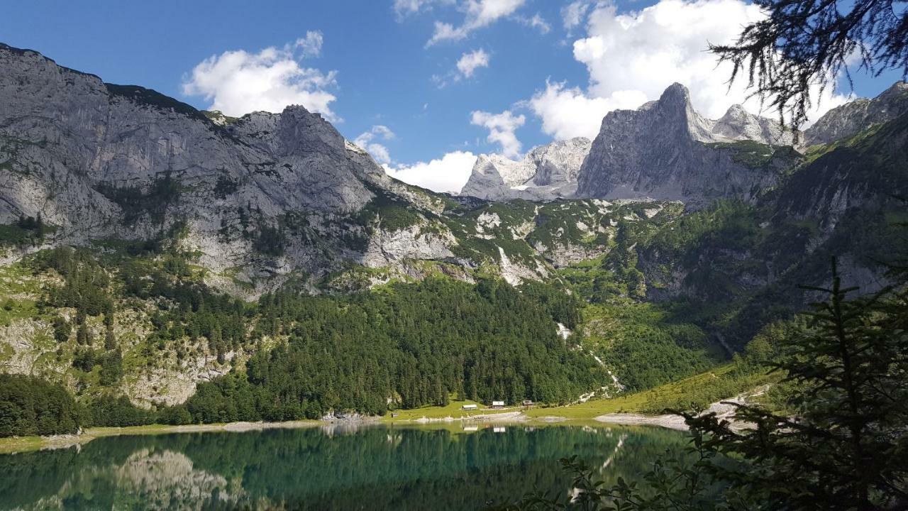 Pension Edelweiss Appartement Wimmer Gosau Exterior foto